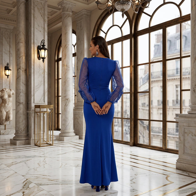 Sheer Tulle Long Sleeve Mermaid Evening Gown